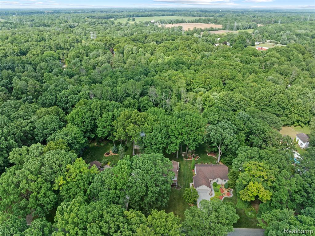 13256 Pine Valley Drive, Clio, MI 48420 — Photo 5