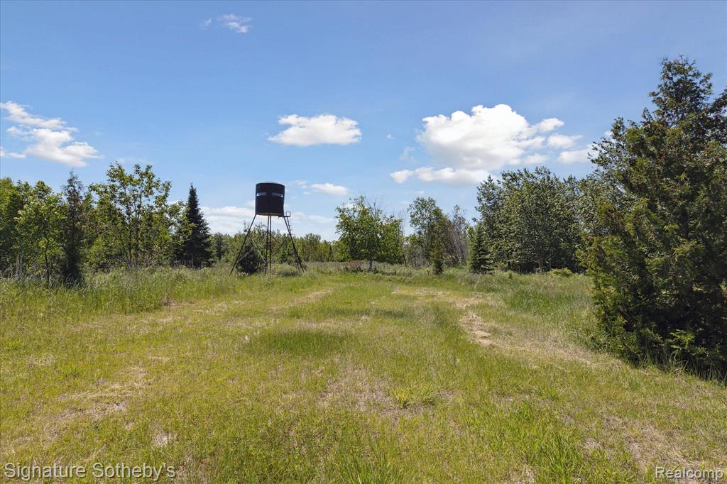 9842 Misery Bay, Alpena, MI 49707 — Photo 72