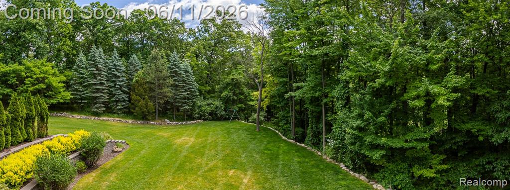 6265 Crest Forest Court E, Clarkston, MI 48348 — Photo 79