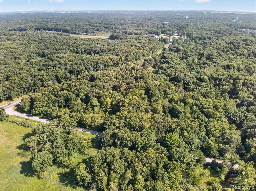 V/L Kirby Road, Battle Creek, MI 49017 — Photo 12