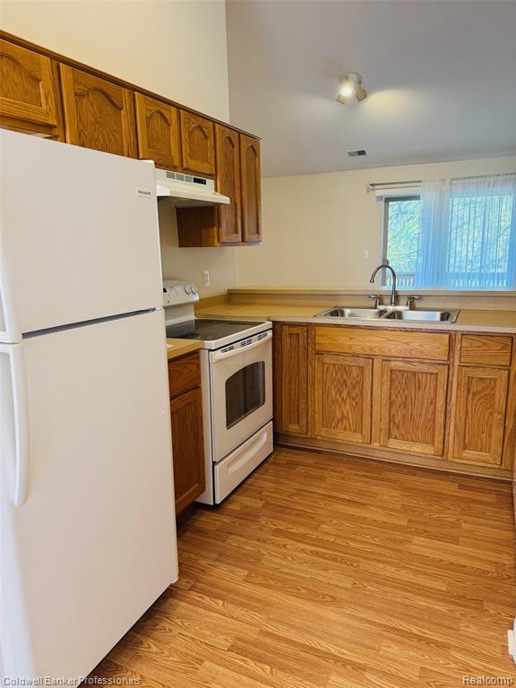 41022 Rose Lane, Clinton Twp, MI 48036 — Photo 7