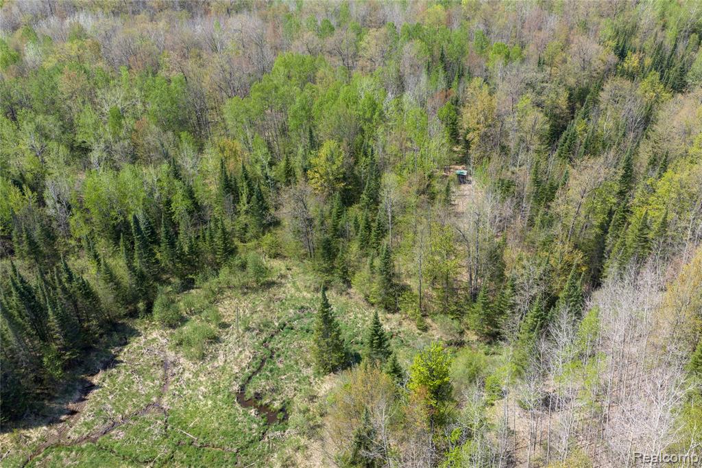 4180 Sage Lake Road, Lupton, MI 48635 — Photo 39