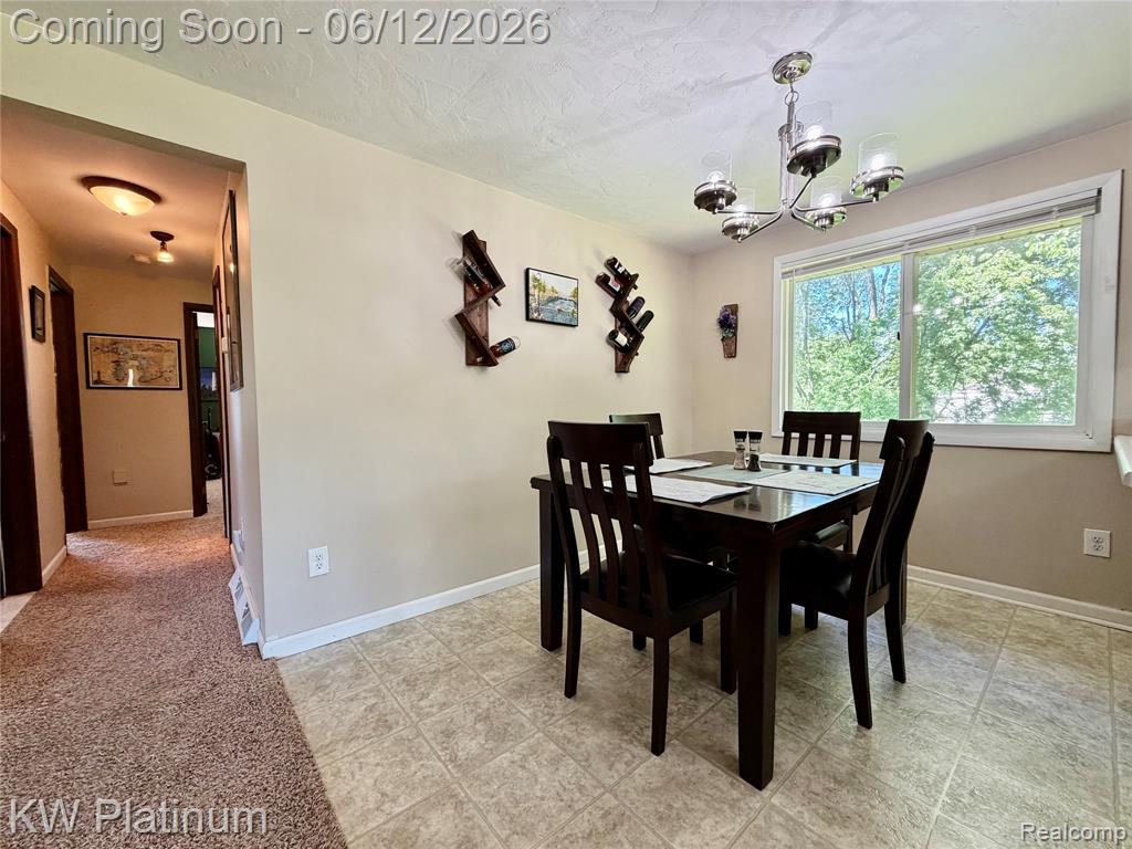 4059 Galbraith Line Road, Croswell, MI 48422 — Photo 12