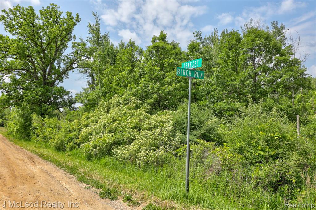 VL 0330 BIRCH RUN RD AT GENESEE Road, Millington, MI 48746 — Photo 27