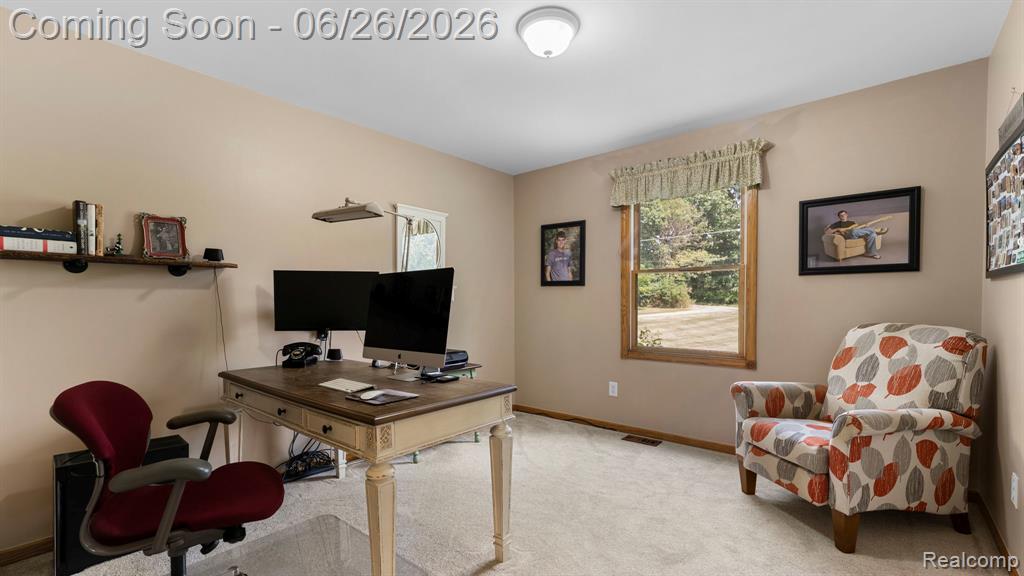 344 S Truhn Road, Fowlerville, MI 48836 — Photo 14