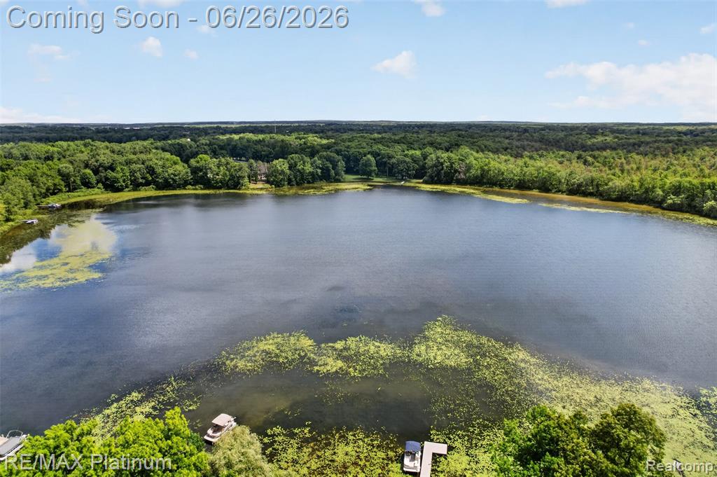 201 Mystic Meadows Court, Howell, MI 48843 — Photo 45