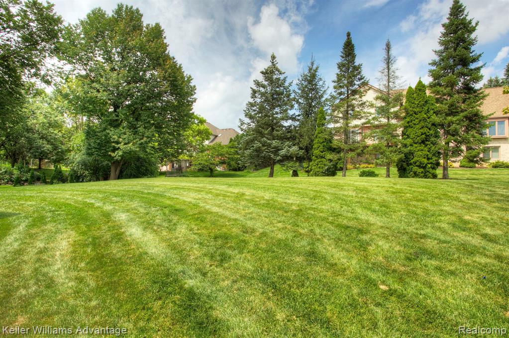 47694 EDINBURGH Drive, Plymouth, MI 48170 — Photo 80