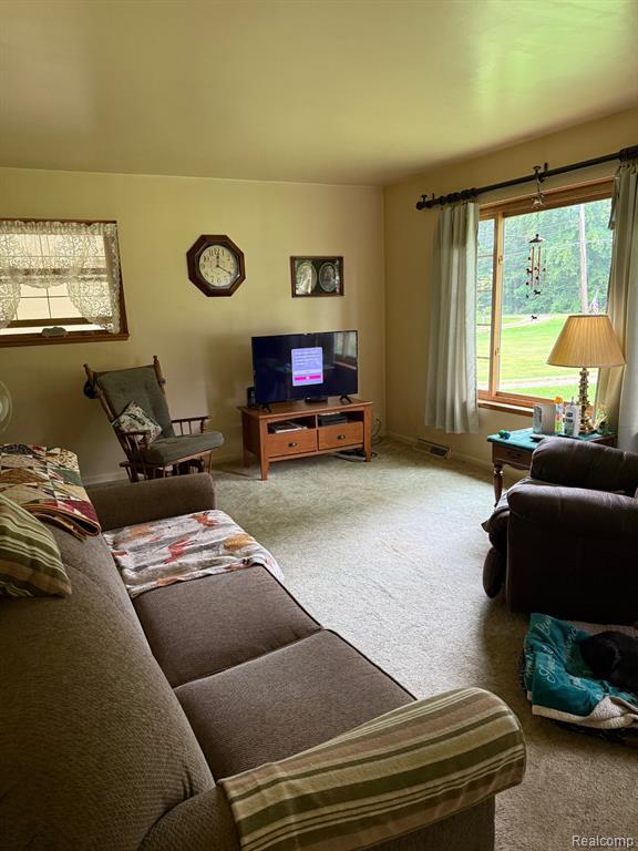 3040 Millville Road, Lapeer, MI 48446 — Photo 8