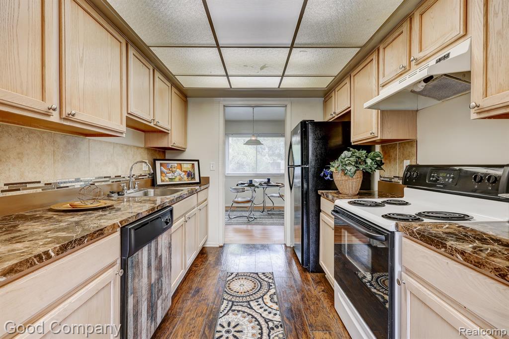 1 FREDRICKSBURG TOWNE Street, Southfield, MI 48075 — Photo 11