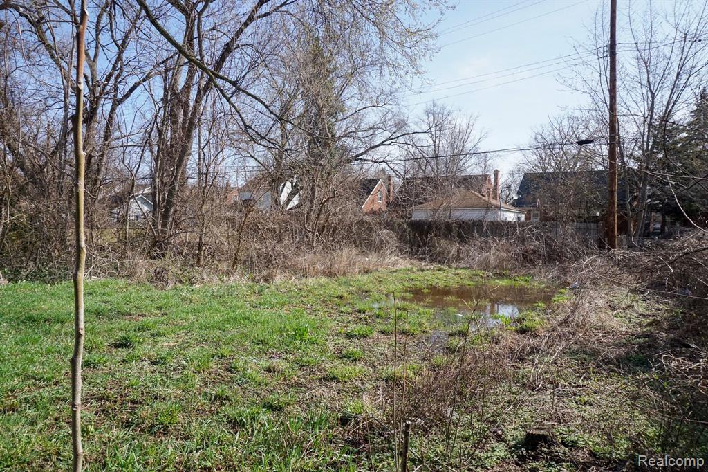 14630 SOUTHFIELD, Detroit, MI 48223 — Photo 3