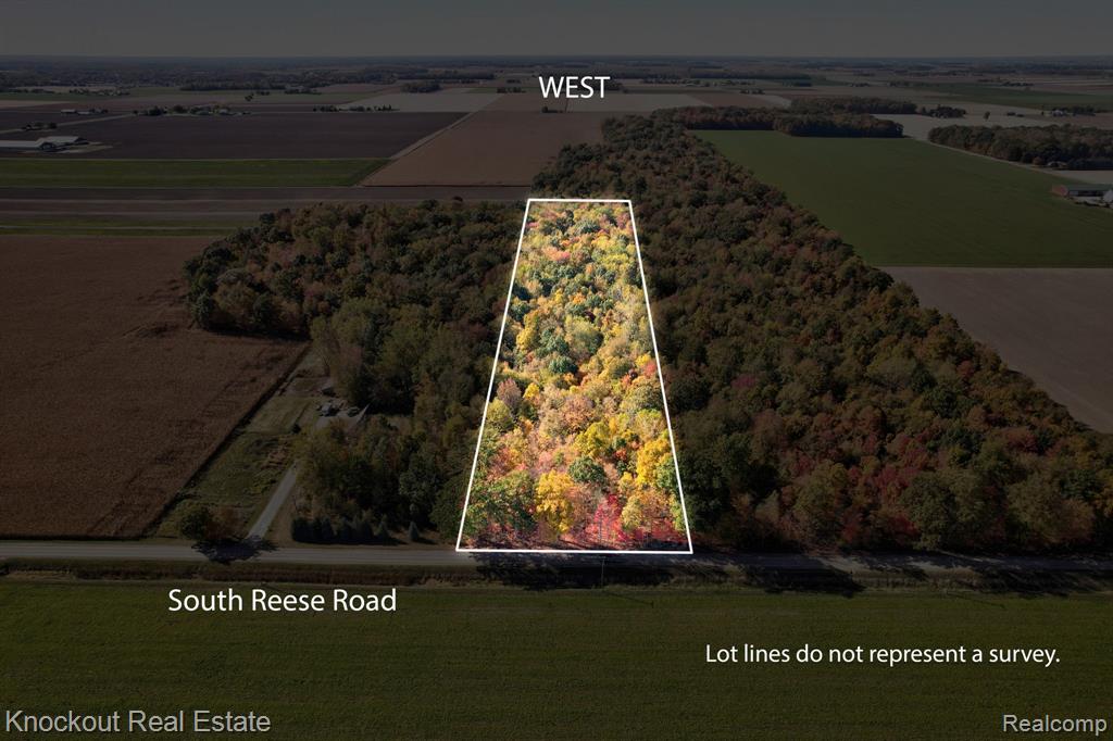4000 S Reese Road, Frankenmuth, MI 48734 — Photo 2