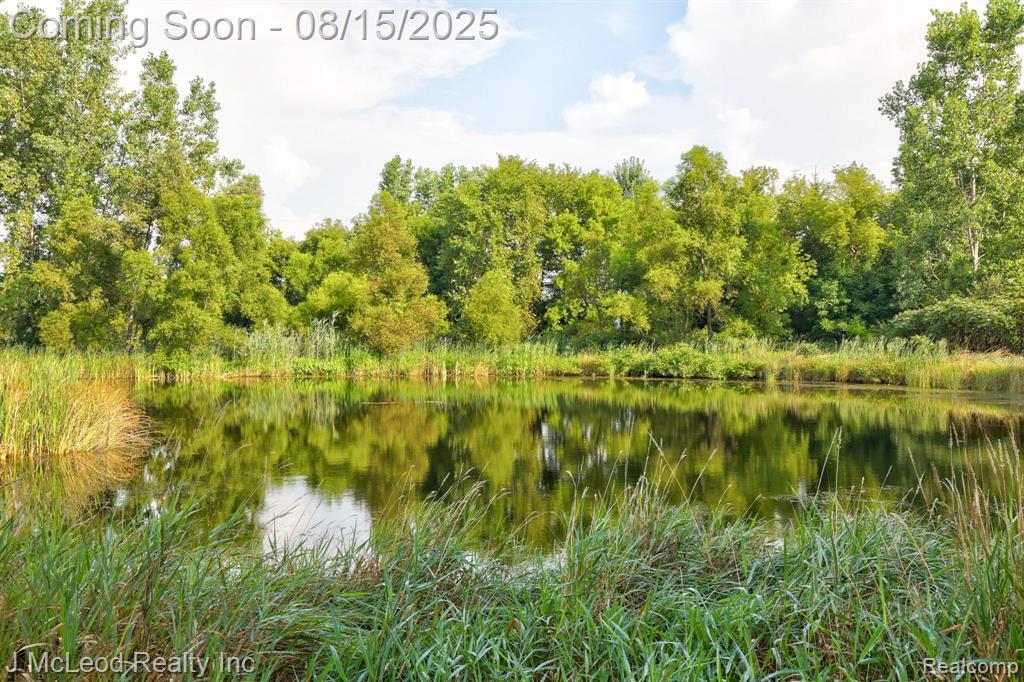 9019 Cardinal Drive, Millington, MI 48746 — Photo 46