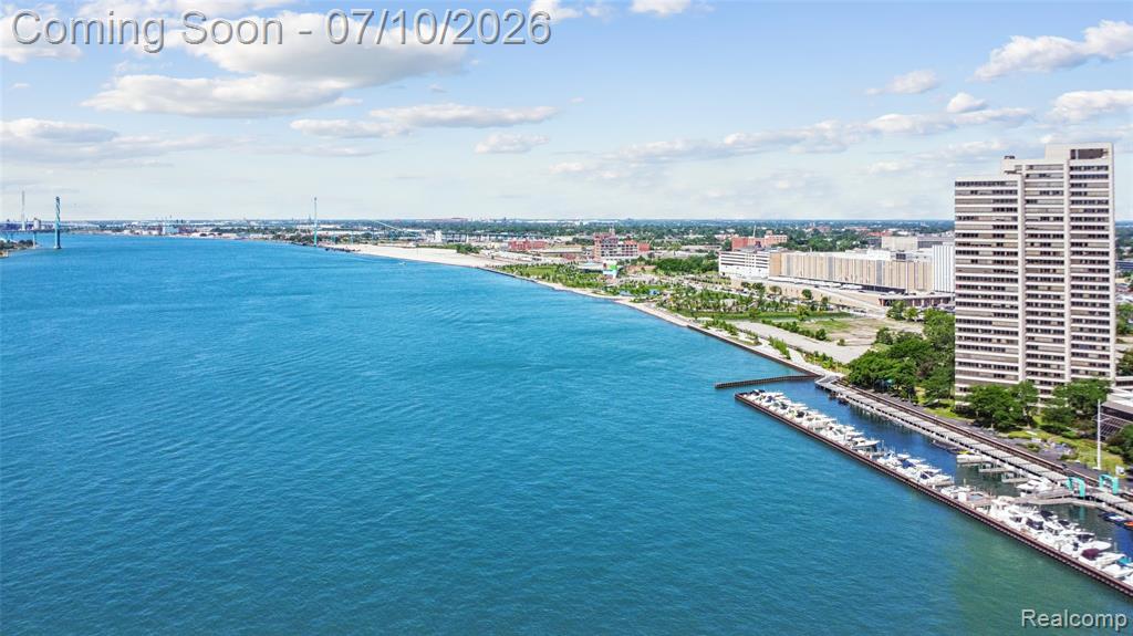 1001 W Jefferson Avenue, 2a, Detroit, MI 48226 — Photo 40
