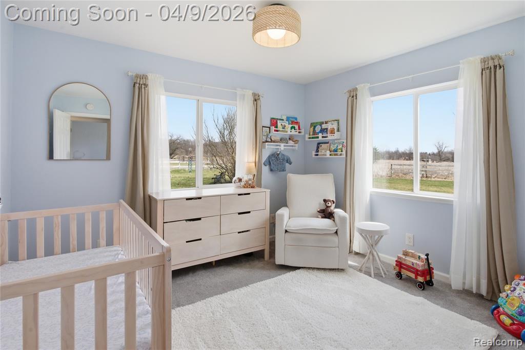 5176 Pratt Road, Metamora, MI 48455 — Photo 38