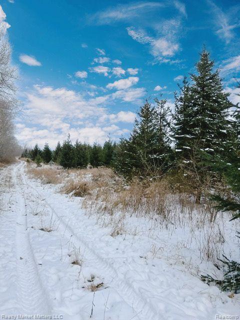 5770 Denhoff Road, Kingston, MI 48741 — Photo 23