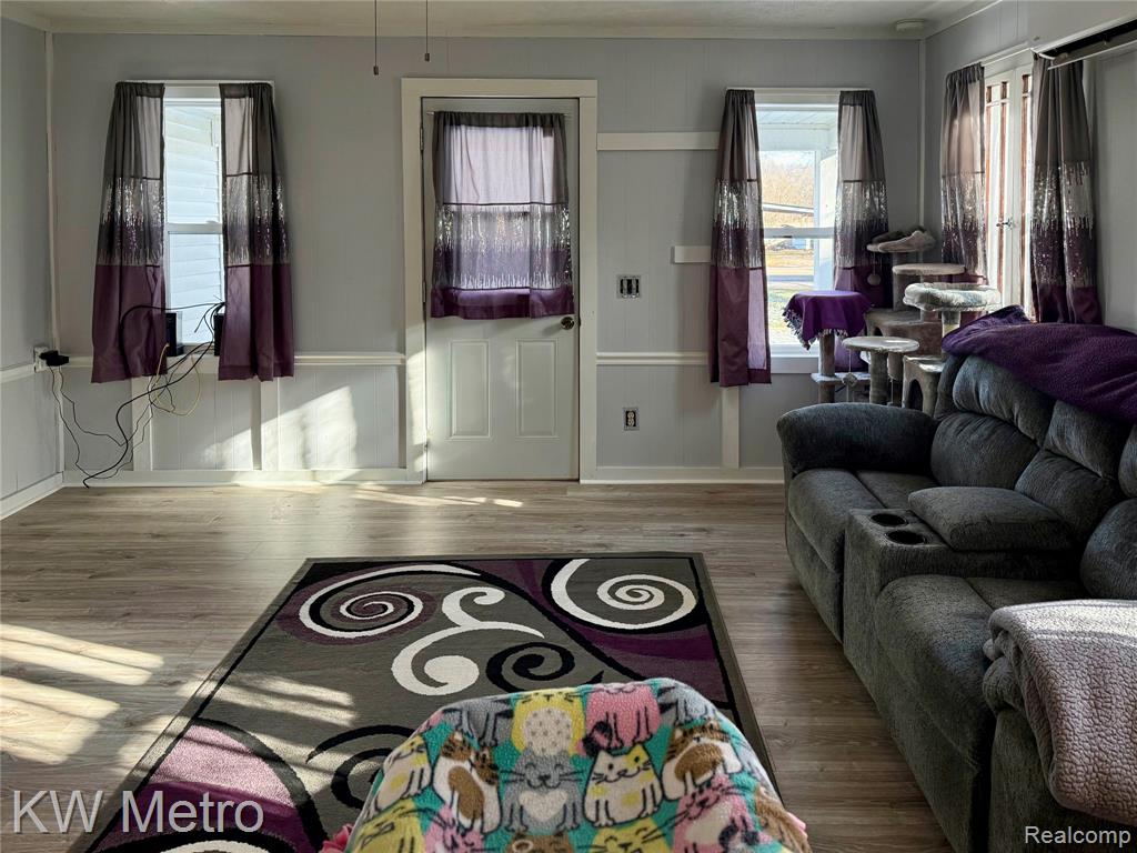 563 N Ovid Street, Elsie, MI 48831 — Photo 6