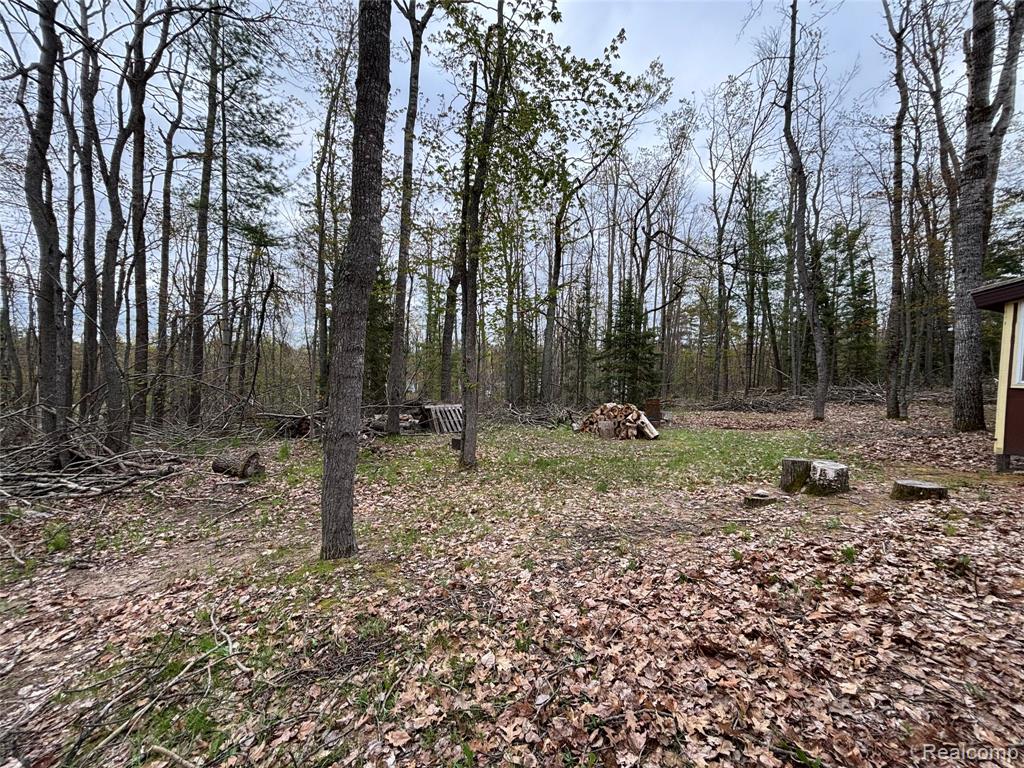 3356 Havenwood Drive, Lewiston, MI 49756 — Photo 36