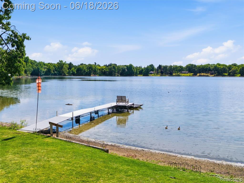 14478 Bouchner Drive, Linden, MI 48451 — Photo 3