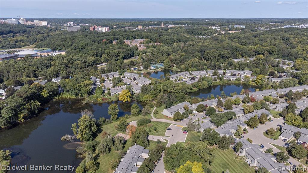 759 PENINSULA, Ann Arbor, MI 48105 — Photo 6