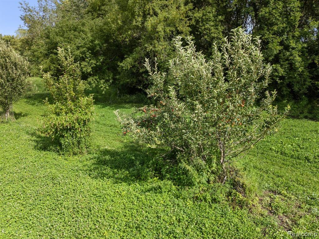 V/L BLAKE Road, Jackson, MI 49201 — Photo 17