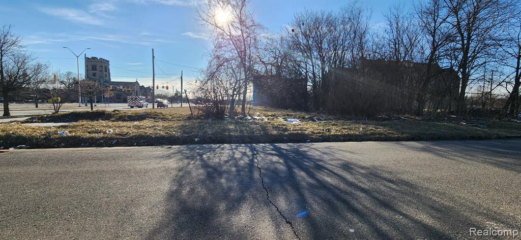 3466 LINCOLN Street, Detroit, MI 48208 — Photo 8