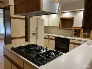 8905 Danzig Street, Livonia, MI 48150 — Photo 12
