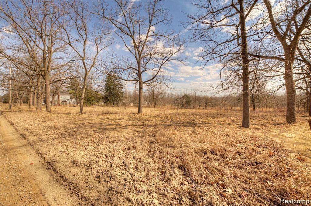 58405 TRAVIS Road, New Hudson, MI 48165 — Photo 12