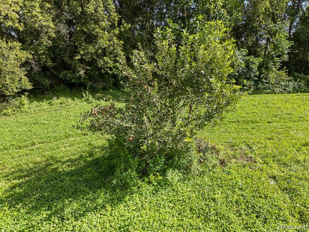 V/L BLAKE Road, Jackson, MI 49201 — Photo 22