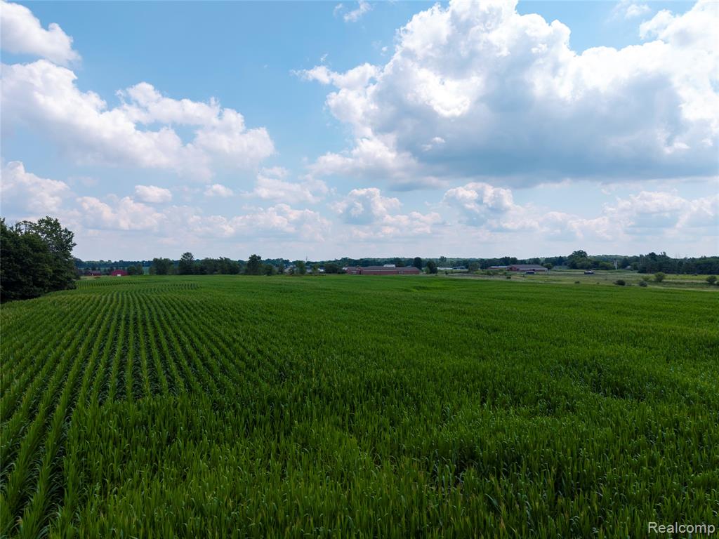 VL Sharp Road, Swartz Creek, MI 48473 — Photo 28