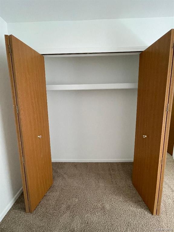 42597 LILLEY POINTE Drive, Canton, MI 48187 — Photo 22