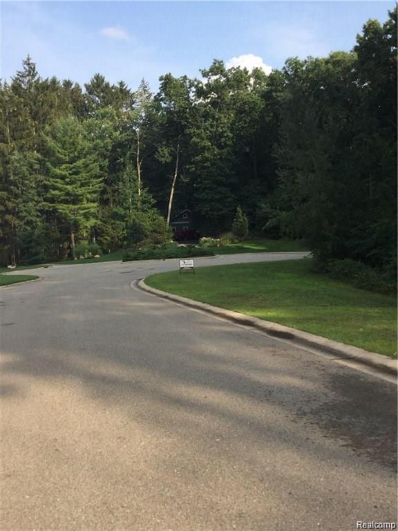 81 Mystic Pines Ct, Pinckney, MI 48169 — Photo 7