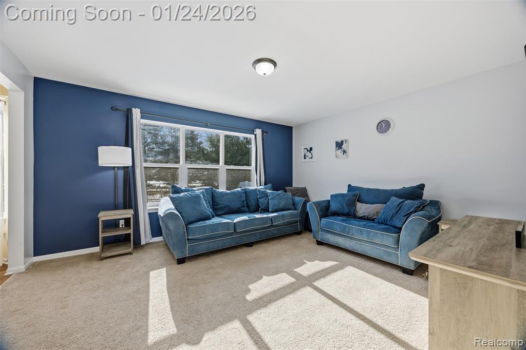 9005 Birch Pointe Drive, Newport, MI 48166 — Photo 8