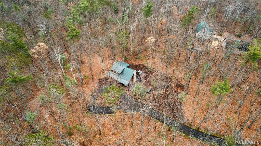 150 N East Mullett Lake Road, Indian River, MI 49749 — Photo 53