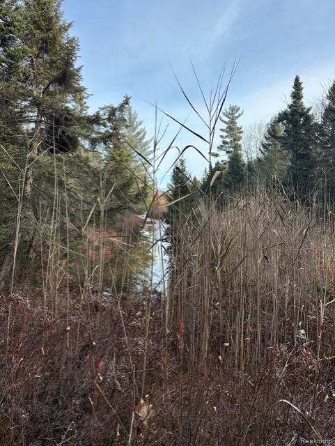 VL W AuSable Point Road, Oscoda, MI 48750 — Photo 11