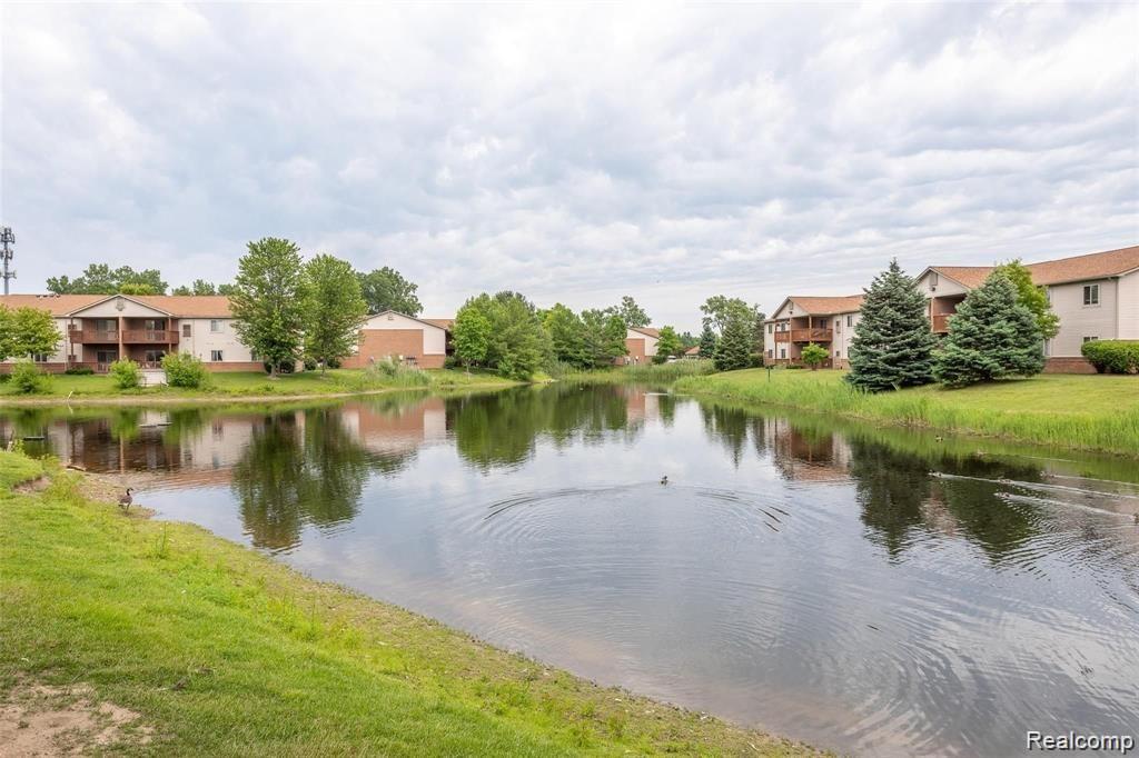 9699 WILDFLOWER, Belleville, MI 48111 — Photo 4