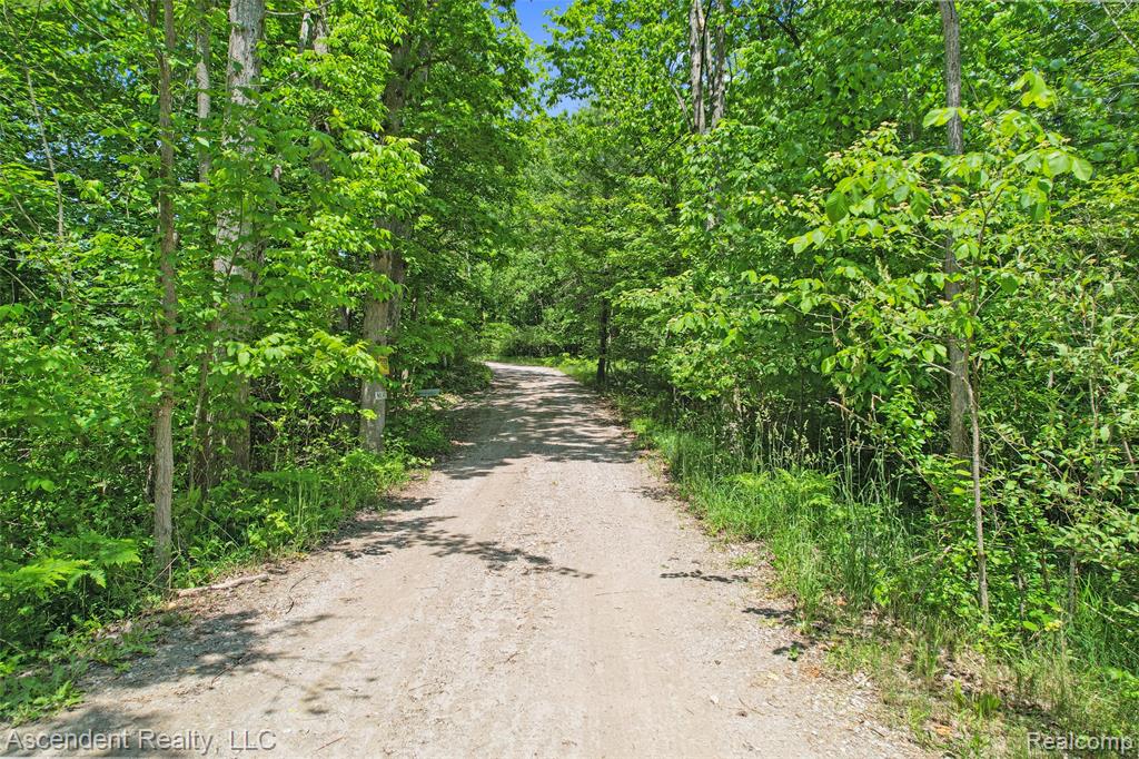 5735 Belle River Road, Imlay City, MI 48412 — Photo 16