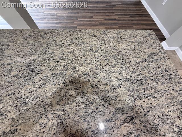 10452 E Maple Avenue, Davison, MI 48423 — Photo 2
