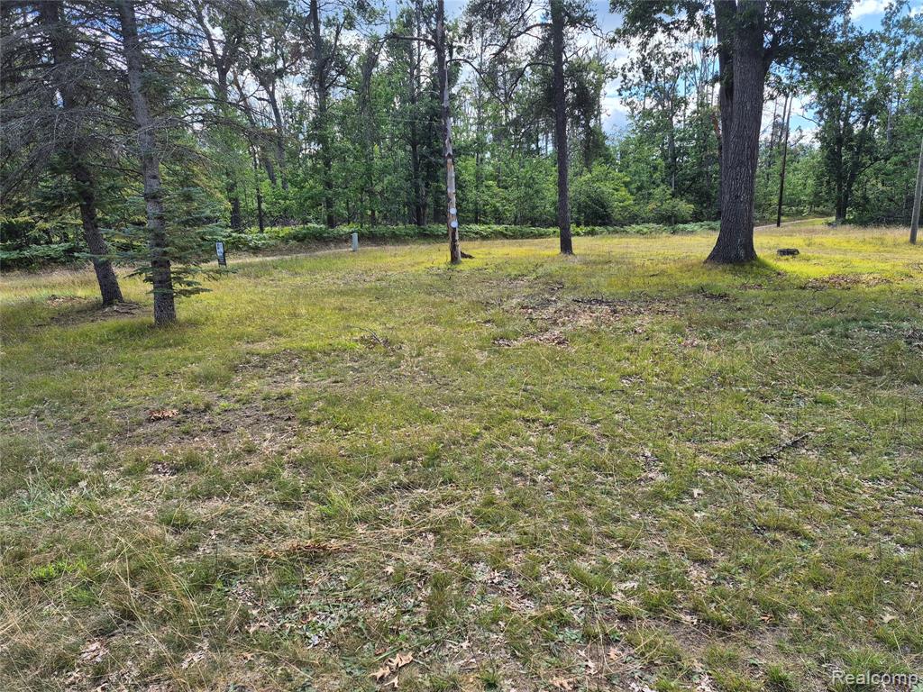 11864 Spikehorn Road, Johannesburg, MI 49751 — Photo 10