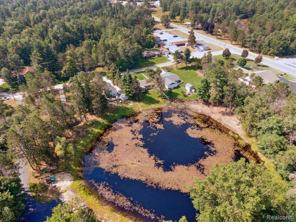 10069 Fisher Lake Road, St. Helen, MI 48656 — Photo 43