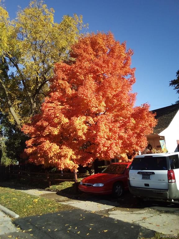 4121 Menton Street, Flint, MI 48507 — Photo 20