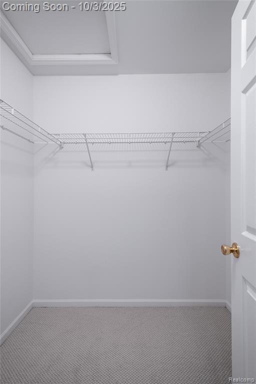 10456 Viewtop Court, Hartland, MI 48353 — Photo 13