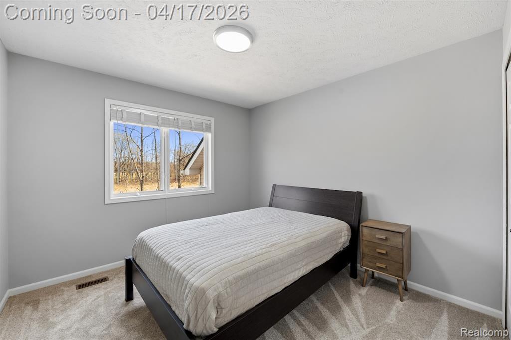 385 Tortoise Drive, Howell, MI 48843 — Photo 26