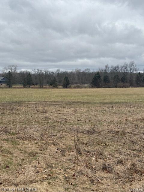 Lot C Rosy, Leonard, MI 48367 — Photo 4