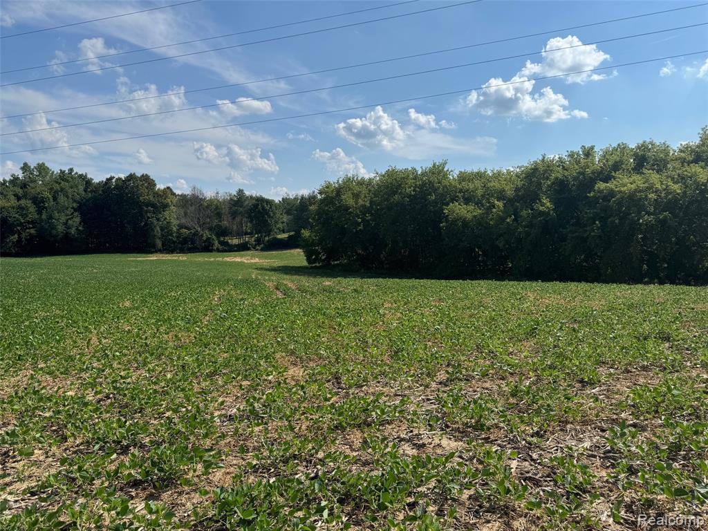 VL S Mill Road, Dryden, MI 48428 — Photo 4