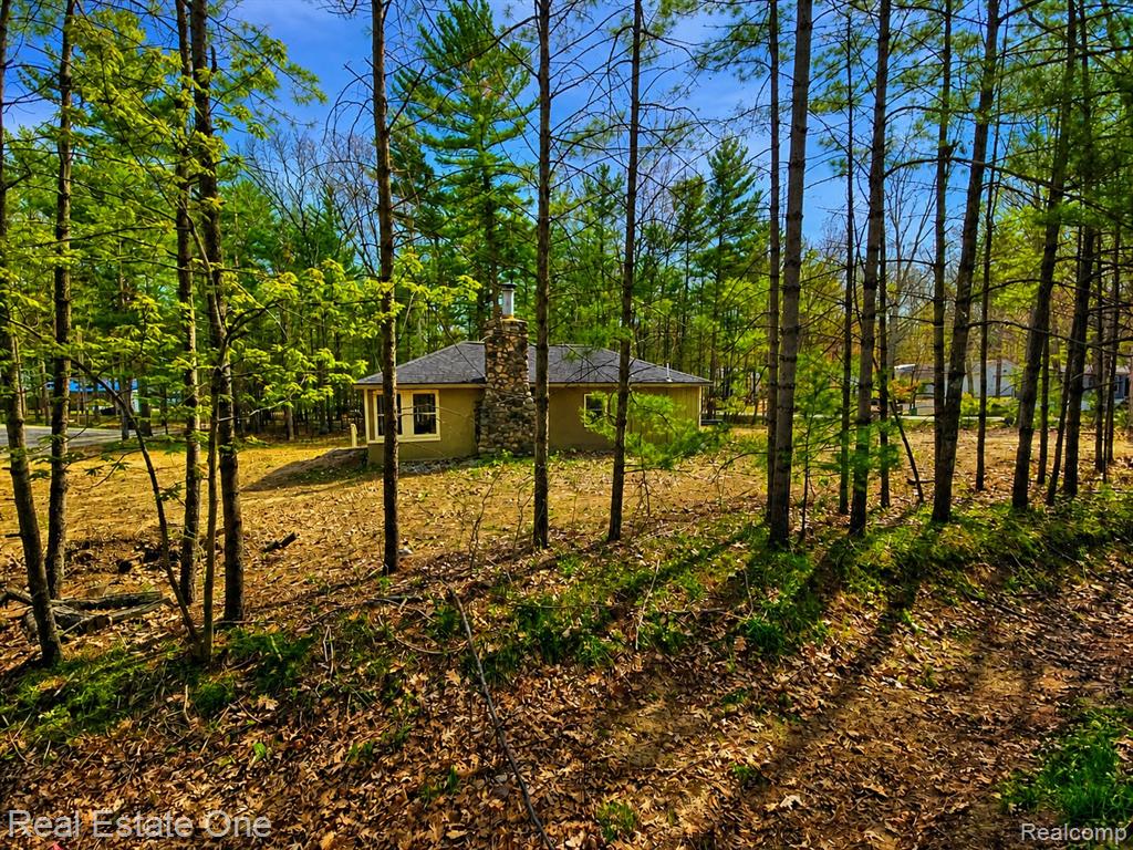 1961 N Beechwood Drive, Mears, MI 49436 — Photo 4