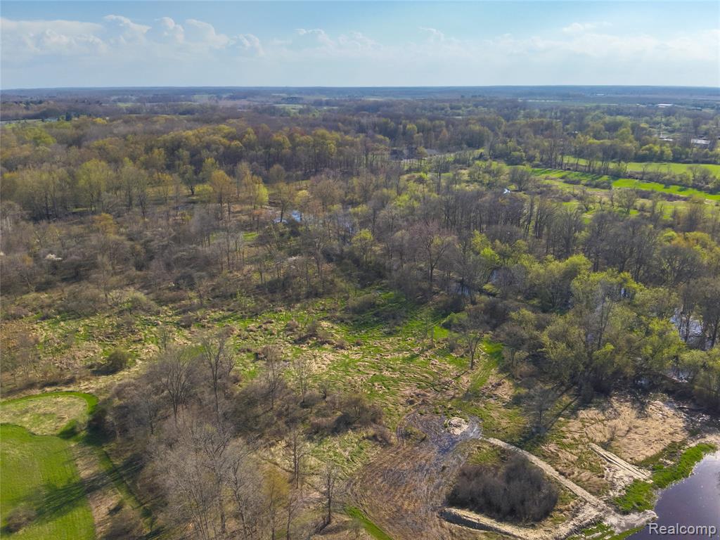 5785 Layton Road, Fowlerville, MI 48836 — Photo 67