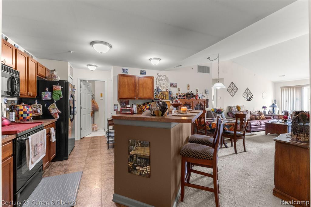 40563 BLYTHEFIELD Lane, Canton, MI 48188 — Photo 9