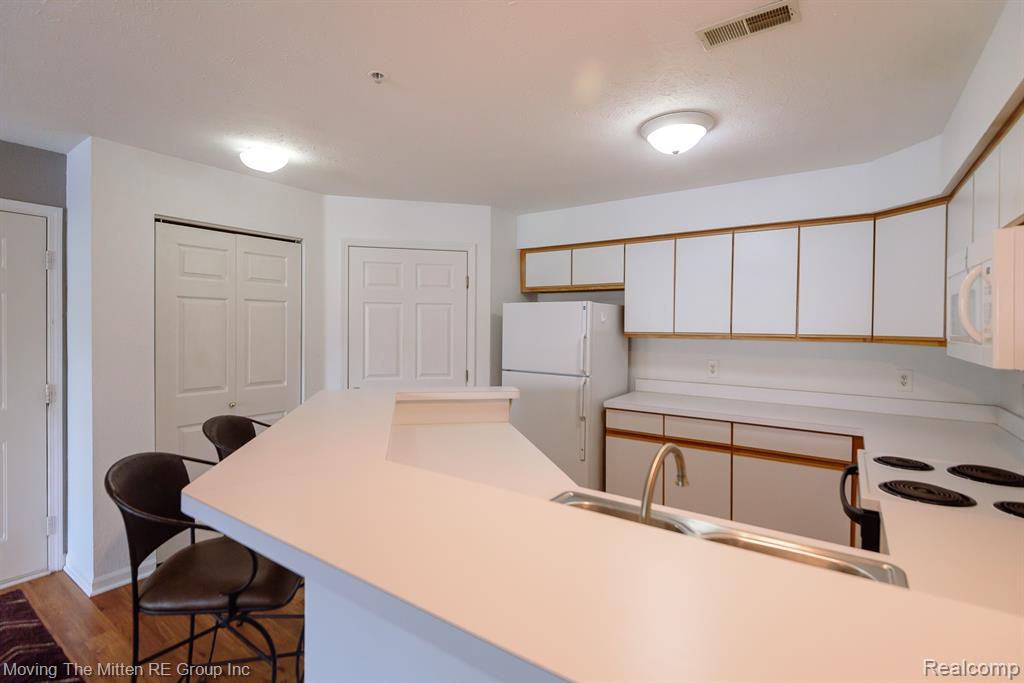1398 Heatherwood Lane, Ann Arbor, MI 48108 — Photo 10