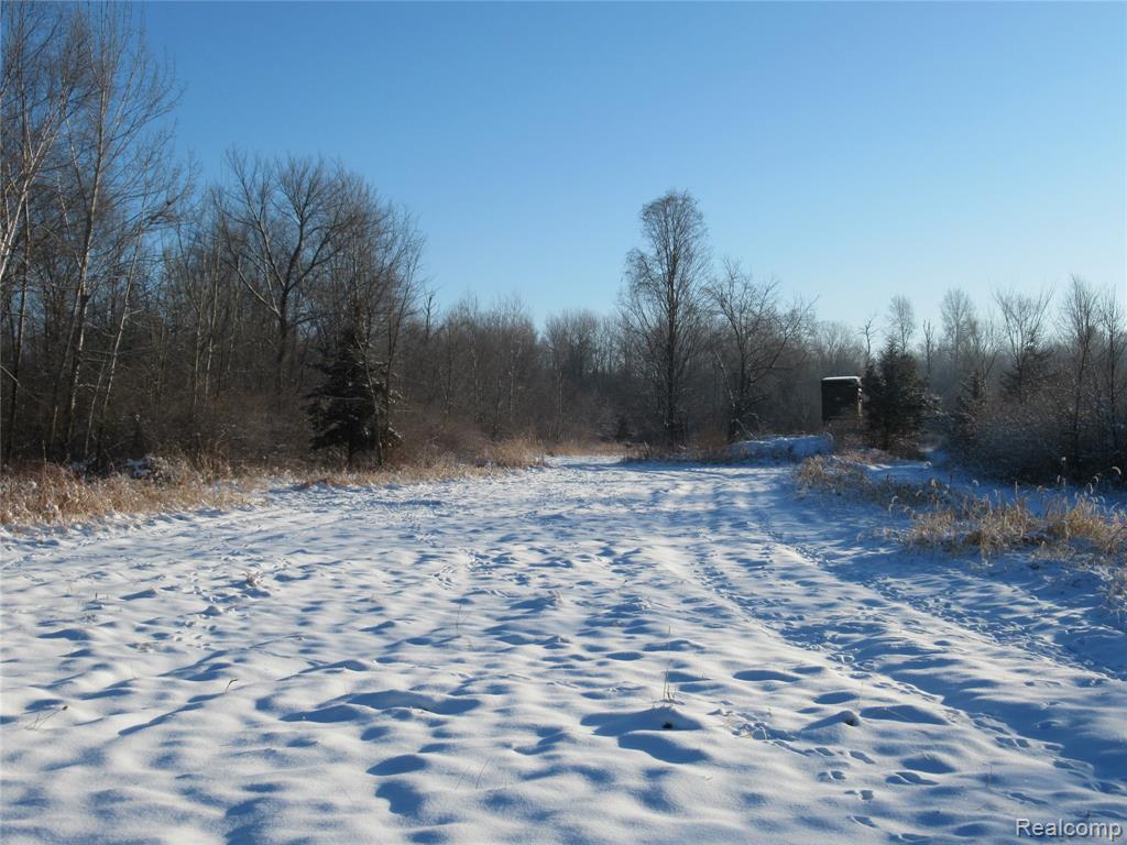 VACANT LAND S. PLAIN Road, Caro, MI 48723 — Photo 3