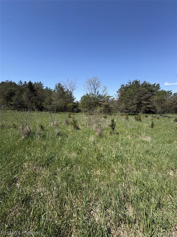 Parcel 2 Pineway Trail, Howell, MI 48855 — Photo 7